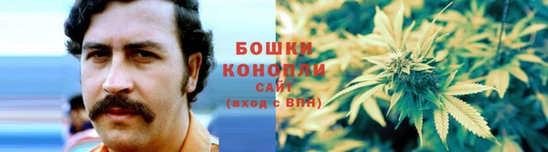 крисы Бронницы