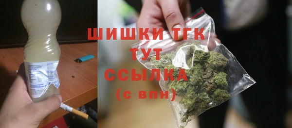 крисы Бронницы