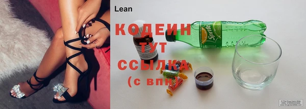 PSILOCYBIN Бородино