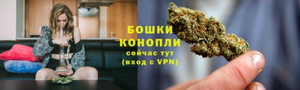 крисы Бронницы