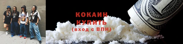 PSILOCYBIN Бородино