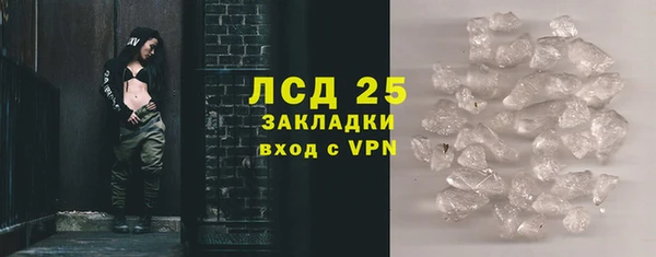 PSILOCYBIN Бородино