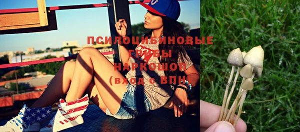 PSILOCYBIN Бородино