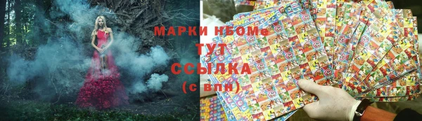 PSILOCYBIN Бородино