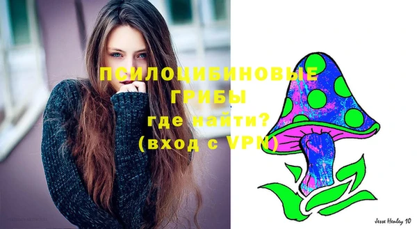 марки lsd Бугульма