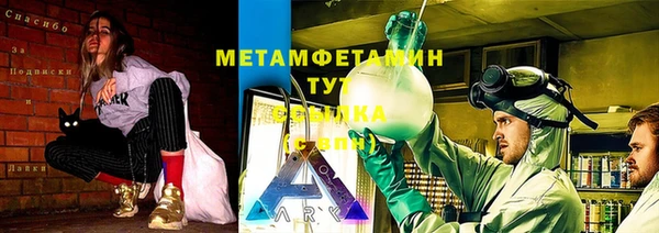 PSILOCYBIN Бородино