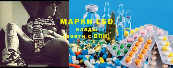 PSILOCYBIN Бородино
